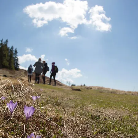 דירה Peak Apartments, Ribnisko Pohorje *