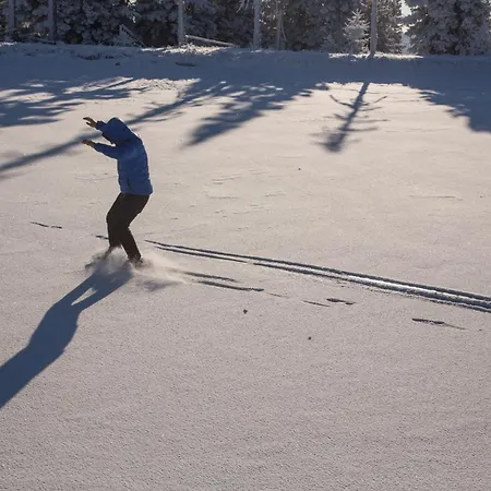 Peak Apartments, Ribnisko Pohorje דירה