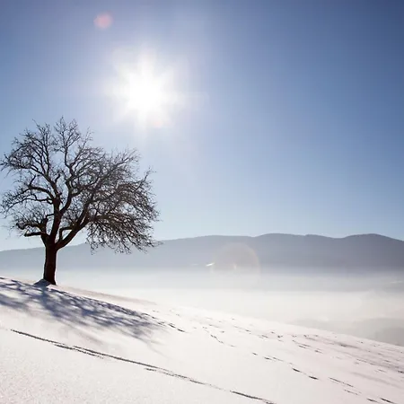 Apartman Peak Apartments, Ribnisko Pohorje