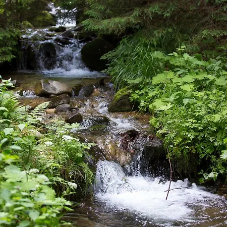 Peak Apartments, Ribnisko Pohorje דירה Ribnica na Pohorju