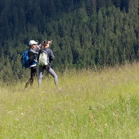 Peak Apartments, Ribnisko Pohorje דירה