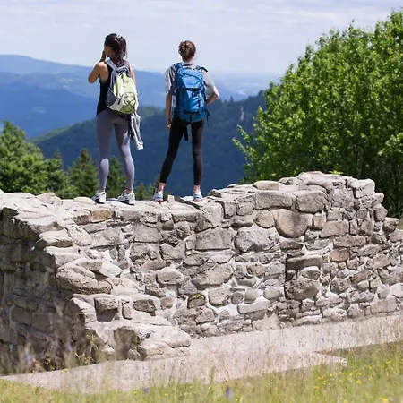 Peak Apartments, Ribnisko Pohorje Ribnica na Pohorju