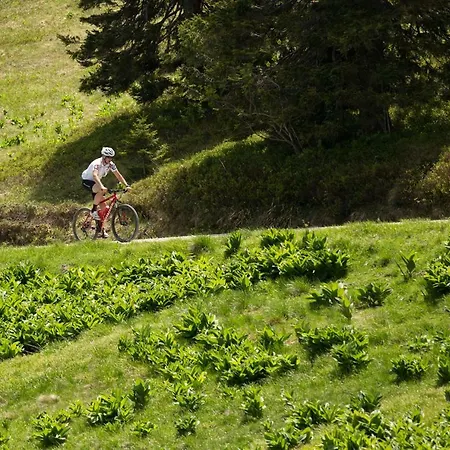 Peak Apartments, Ribnisko Pohorje *
