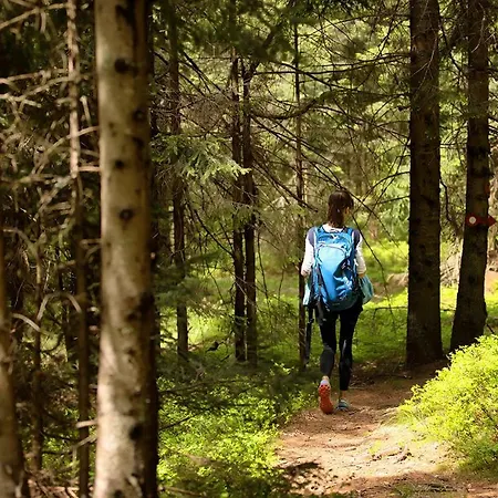 Peak Apartments, Ribnisko Pohorje Ribnica na Pohorju
