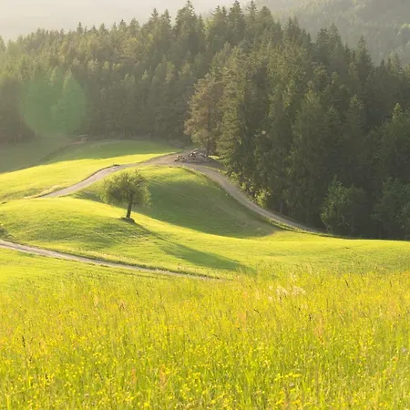 Peak Apartments, Ribnisko Pohorje דירה *