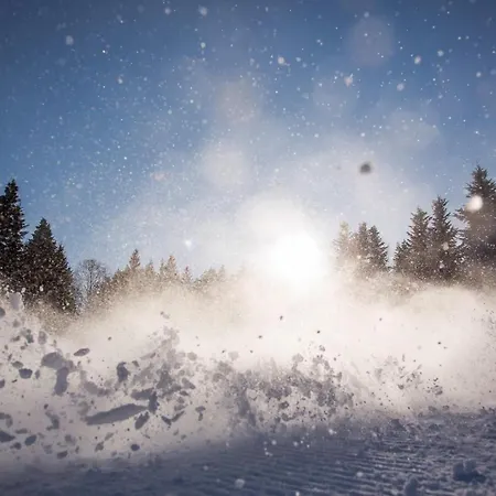 Peak Apartments, Ribnisko Pohorje * Ribnica na Pohorju