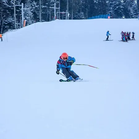 Апартаменты Peak Apartments, Ribnisko Pohorje *