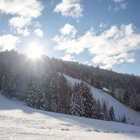 Peak Apartments, Ribnisko Pohorje *
