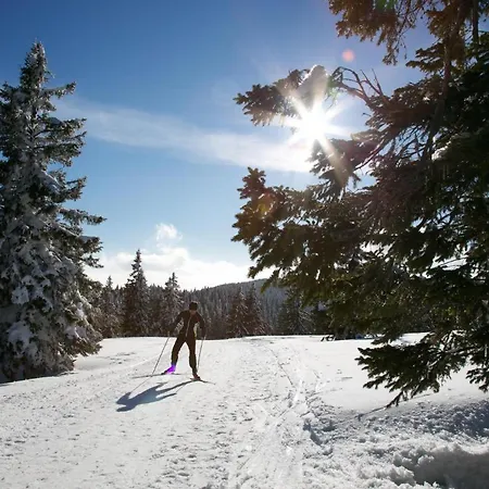 Peak Apartments, Ribnisko Pohorje *