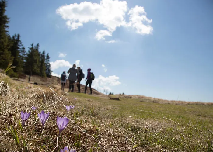 Apartman Peak Apartments, Ribnisko Pohorje *