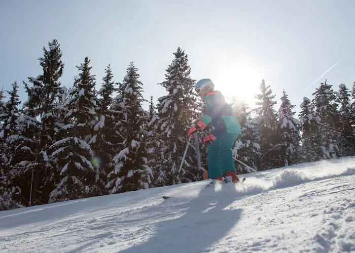 Peak Apartments, Ribnisko Pohorje