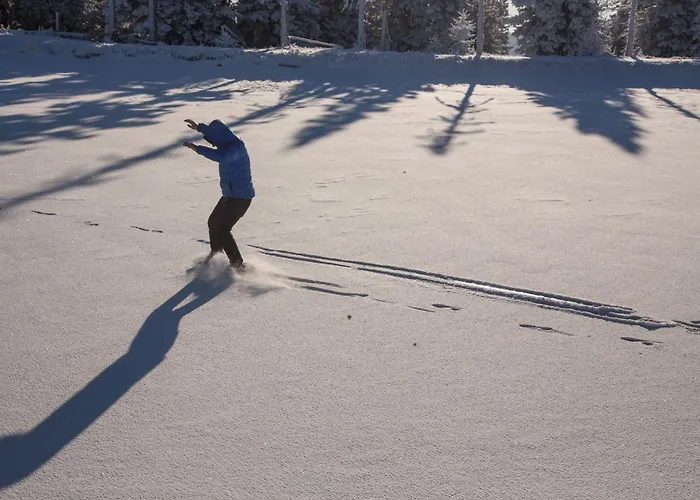 Peak Apartments, Ribnisko Pohorje Apartman