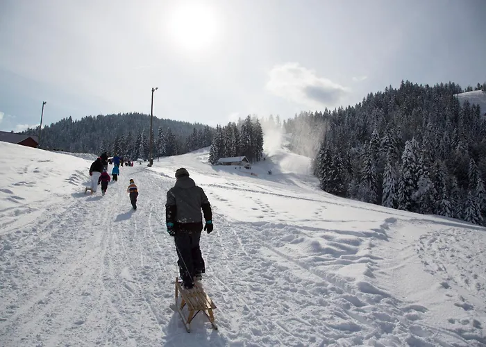Apartman Peak Apartments, Ribnisko Pohorje Ribnica na Pohorju
