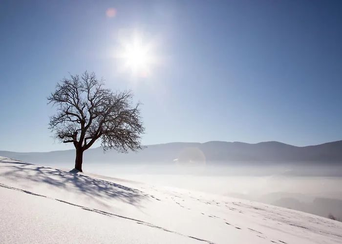 Апартаменты Peak Apartments, Ribnisko Pohorje