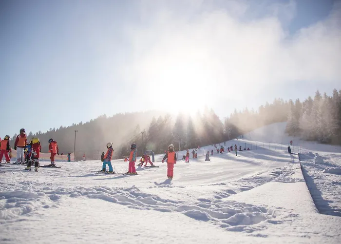 Peak Apartments, Ribnisko Pohorje *