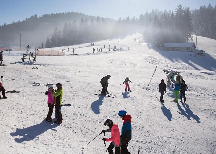 Peak Apartments, Ribnisko Pohorje