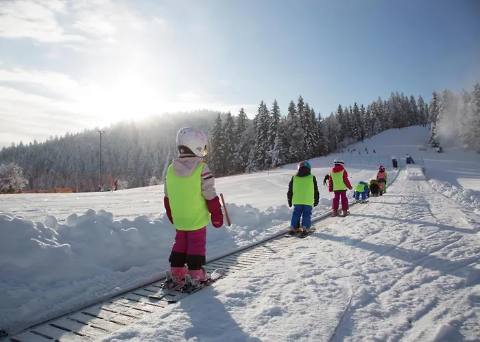 Peak Apartments, Ribnisko Pohorje Апартаменты *