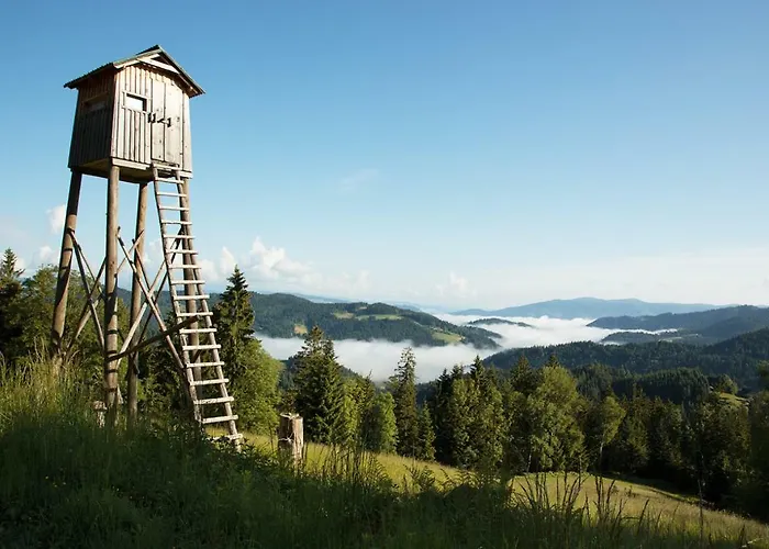 Peak Apartments, Ribnisko Pohorje *