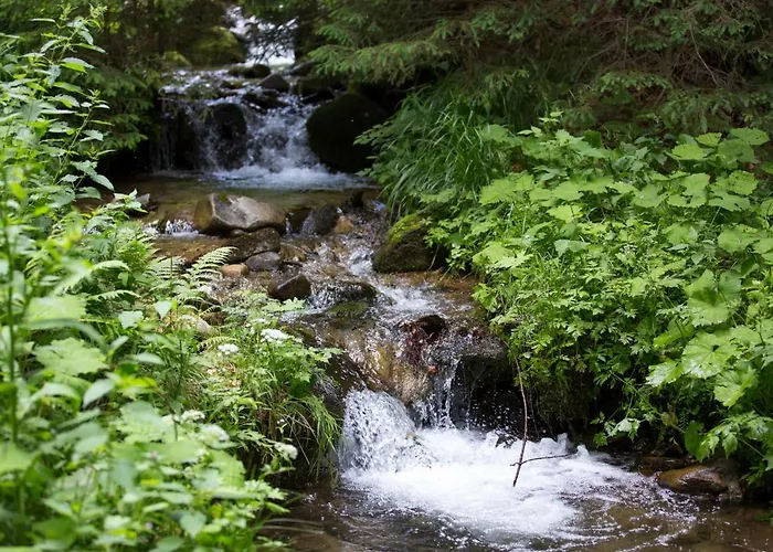 Peak Apartments, Ribnisko Pohorje Апартаменты Ribnica na Pohorju