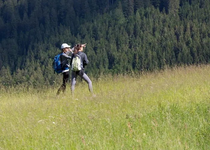 Peak Apartments, Ribnisko Pohorje Apartman