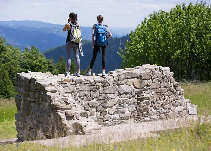 Peak Apartments, Ribnisko Pohorje Ribnica na Pohorju