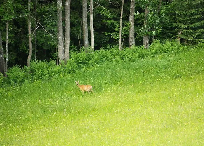 Peak Apartments, Ribnisko Pohorje Апартаменты *