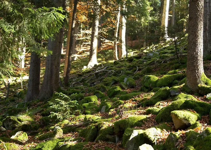 Peak Apartments, Ribnisko Pohorje