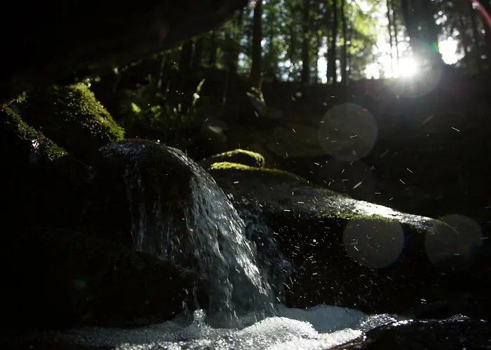 Peak Apartments, Ribnisko Pohorje Ribnica na Pohorju