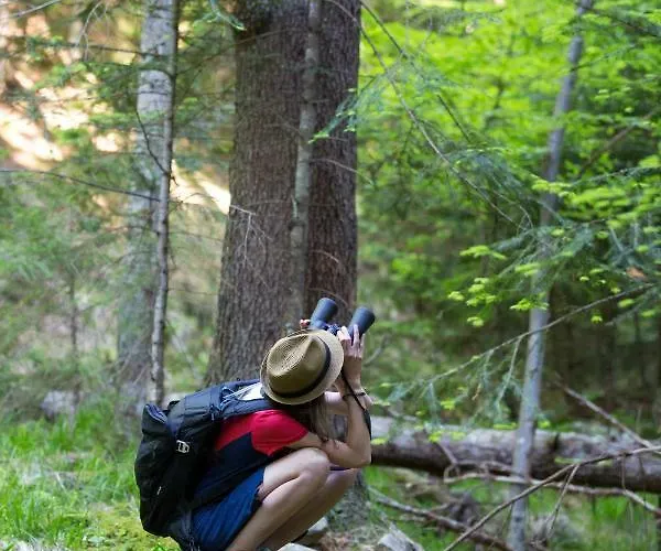 Apartman Peak Apartments, Ribnisko Pohorje Ribnica na Pohorju