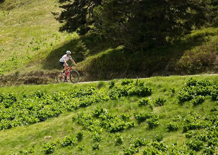 Peak Apartments, Ribnisko Pohorje *