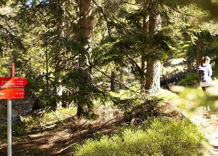 Peak Apartments, Ribnisko Pohorje * Ribnica na Pohorju