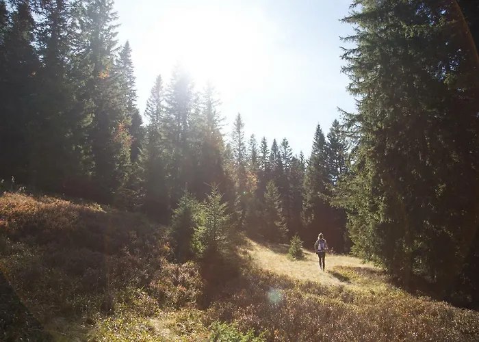 Peak Apartments, Ribnisko Pohorje Апартаменты Ribnica na Pohorju