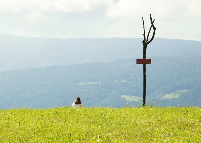 Апартаменты Peak Apartments, Ribnisko Pohorje