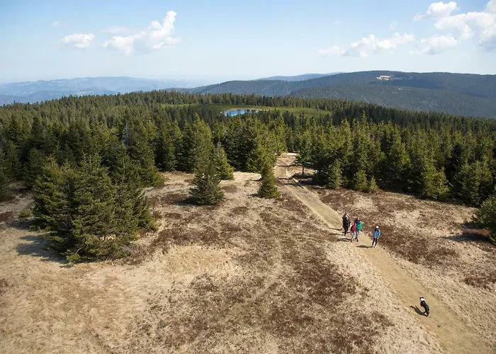 Peak Apartments, Ribnisko Pohorje