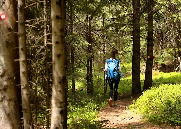 Peak Apartments, Ribnisko Pohorje Ribnica na Pohorju