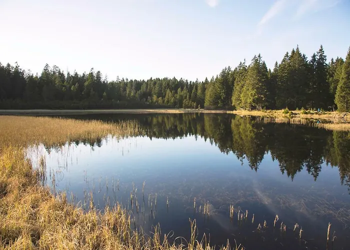 Peak Apartments, Ribnisko Pohorje Апартаменты Ribnica na Pohorju