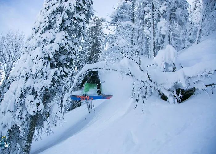 Peak Apartments, Ribnisko Pohorje Ribnica na Pohorju