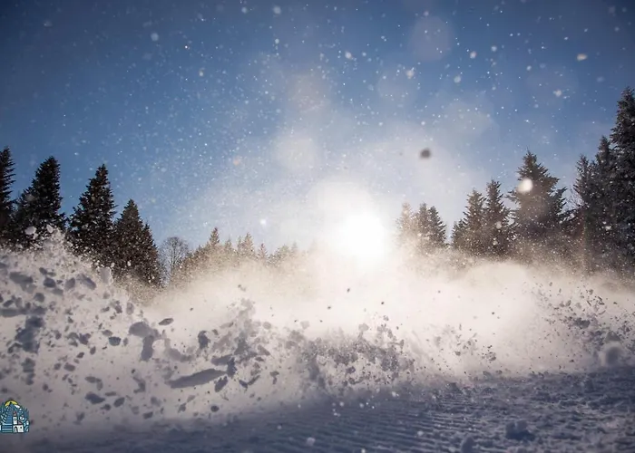 Peak Apartments, Ribnisko Pohorje * Ribnica na Pohorju