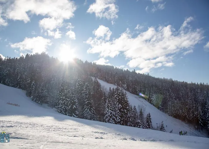 Peak Apartments, Ribnisko Pohorje *