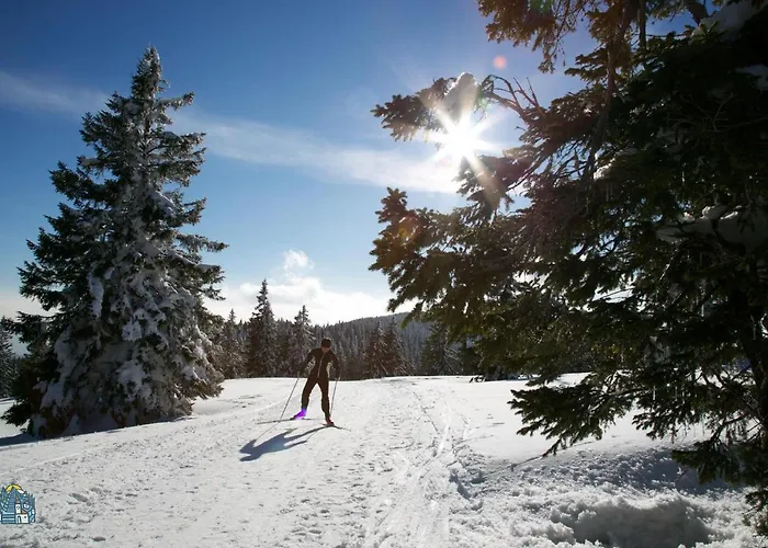 Peak Apartments, Ribnisko Pohorje *