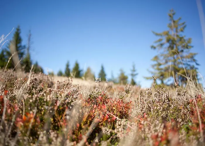 Peak Apartments, Ribnisko Pohorje
