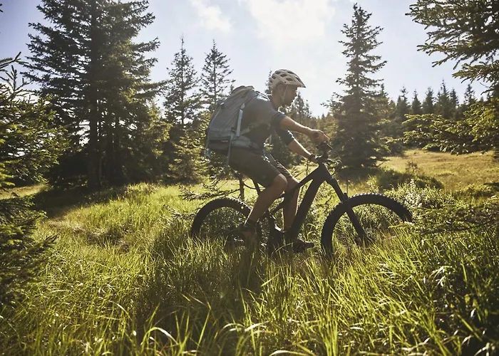 Peak Apartments, Ribnisko Pohorje *